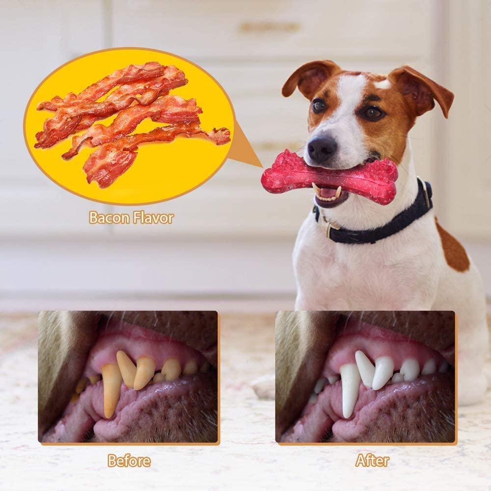 Dog Squeaky Toys - Peteast