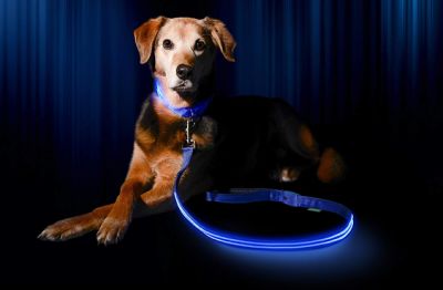 Best LED dog collar, harness and leash