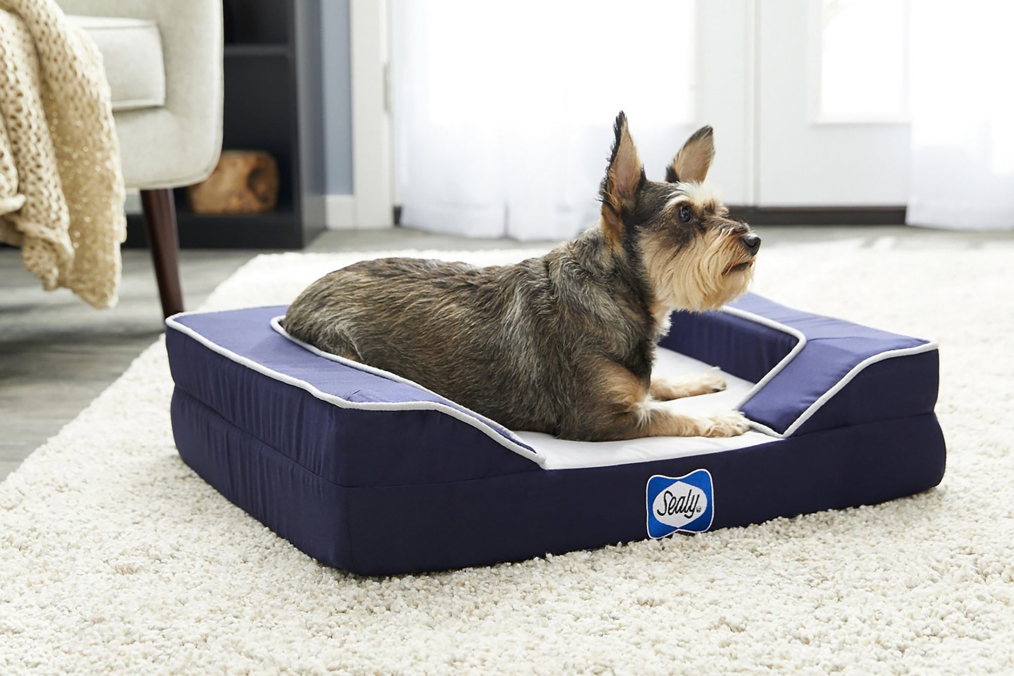 Dog Cooling Mat: How Does It Work?