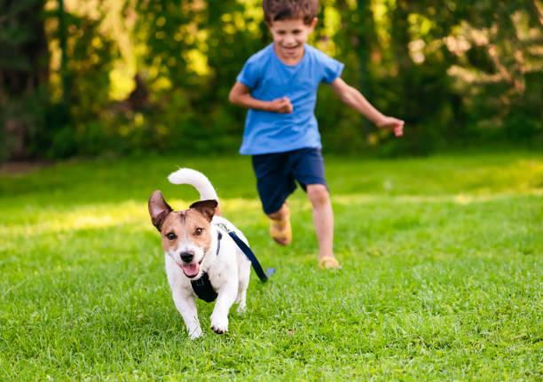Benefits of the off-leash to dogs