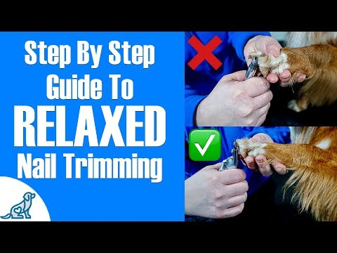 Check this step-by-step guide to relaxed nail trimming!